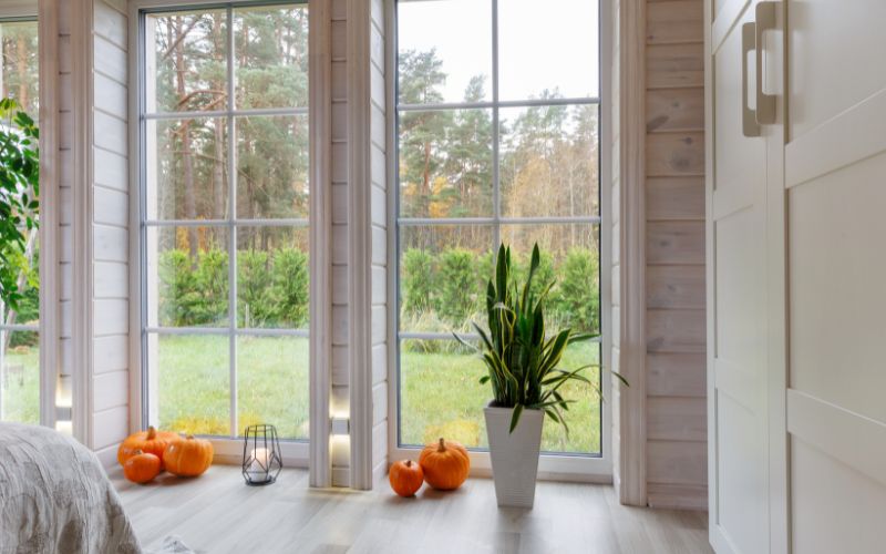 Tall windows are perfect for cultivating a lush indoor garden